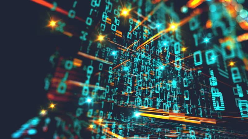 网站定制公司
